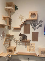 Muro™ – DIY Kletterwand-Set für Katzen