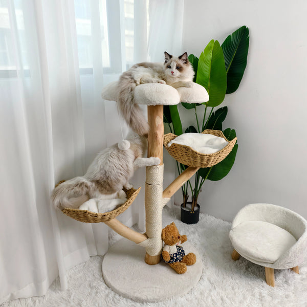 Willow™ – Moderner Katzenbaum aus Weidenholz mit 3 Ebenen & Sisal