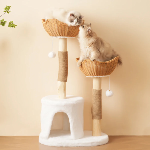Solid™ – Kratzbaum aus Massivholz mit Liegekorb, Höhle & Sisal für große Katzen