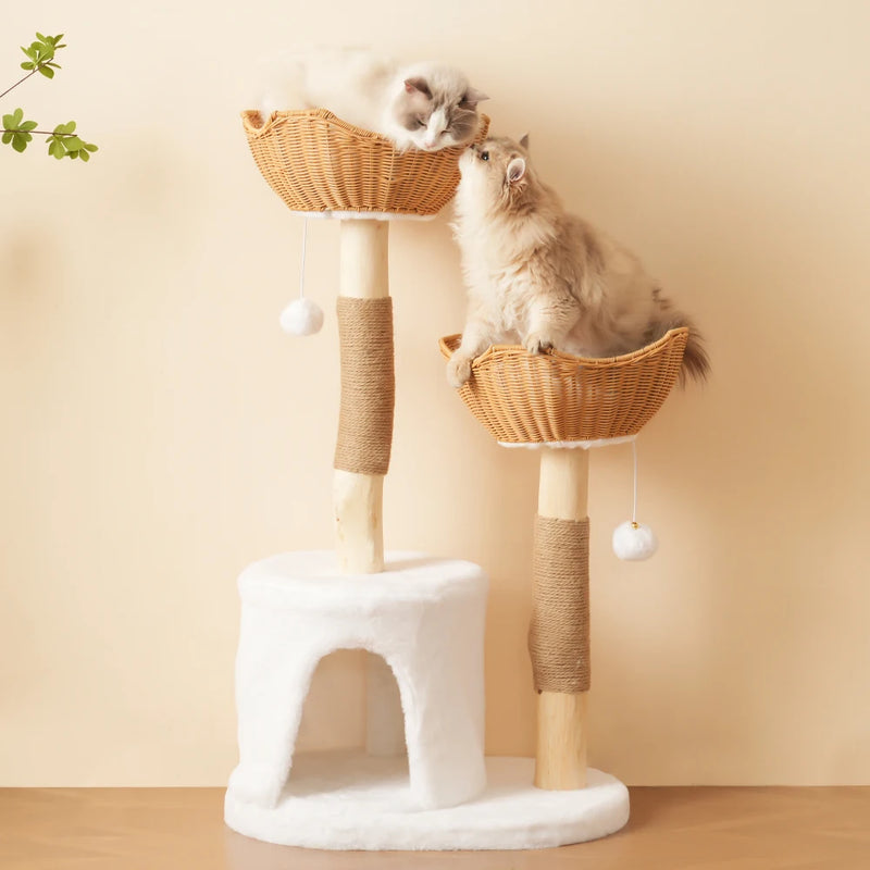Solid™ – Kratzbaum aus Massivholz mit Liegekorb, Höhle & Sisal für große Katzen