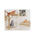 Grid™ – Katzen-Kletterwand-Set 7-teilig aus Kiefernholz