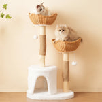 Solid™ – Kratzbaum aus Massivholz mit Liegekorb, Höhle & Sisal für große Katzen