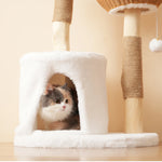 Solid™ – Kratzbaum aus Massivholz mit Liegekorb, Höhle & Sisal für große Katzen