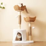 Solid™ – Kratzbaum aus Massivholz mit Liegekorb, Höhle & Sisal für große Katzen