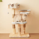 Solid™ – Kratzbaum aus Massivholz mit Liegekorb, Höhle & Sisal für große Katzen
