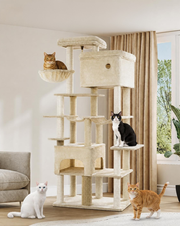 Skytower™ – XXL Kratzbaum 200 cm für Maine Coon & große Katzen