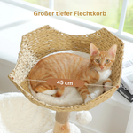 Rattan™ – Katzenbaum aus Naturholz & Rattan mit Liegekorb & Katzenhaus